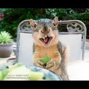 Meet your Posher, Shannon